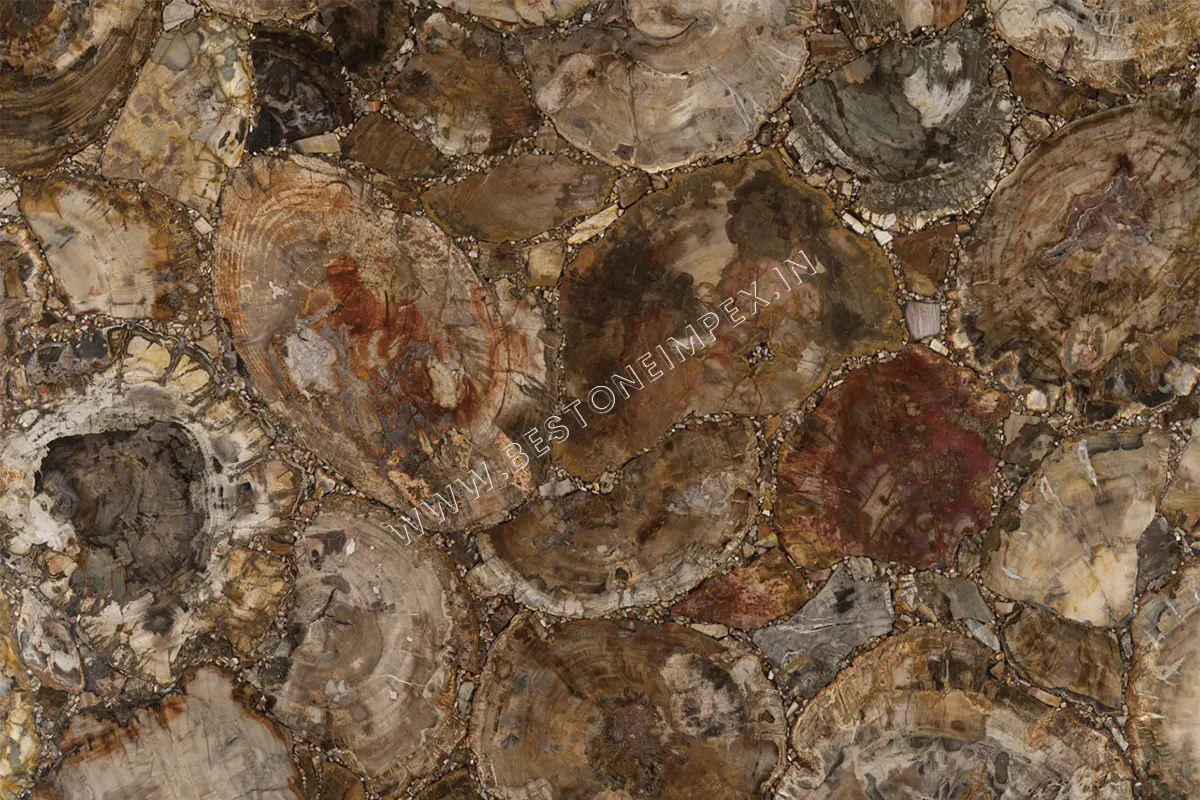 Petrified Wood