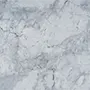 BOTANIC GREY