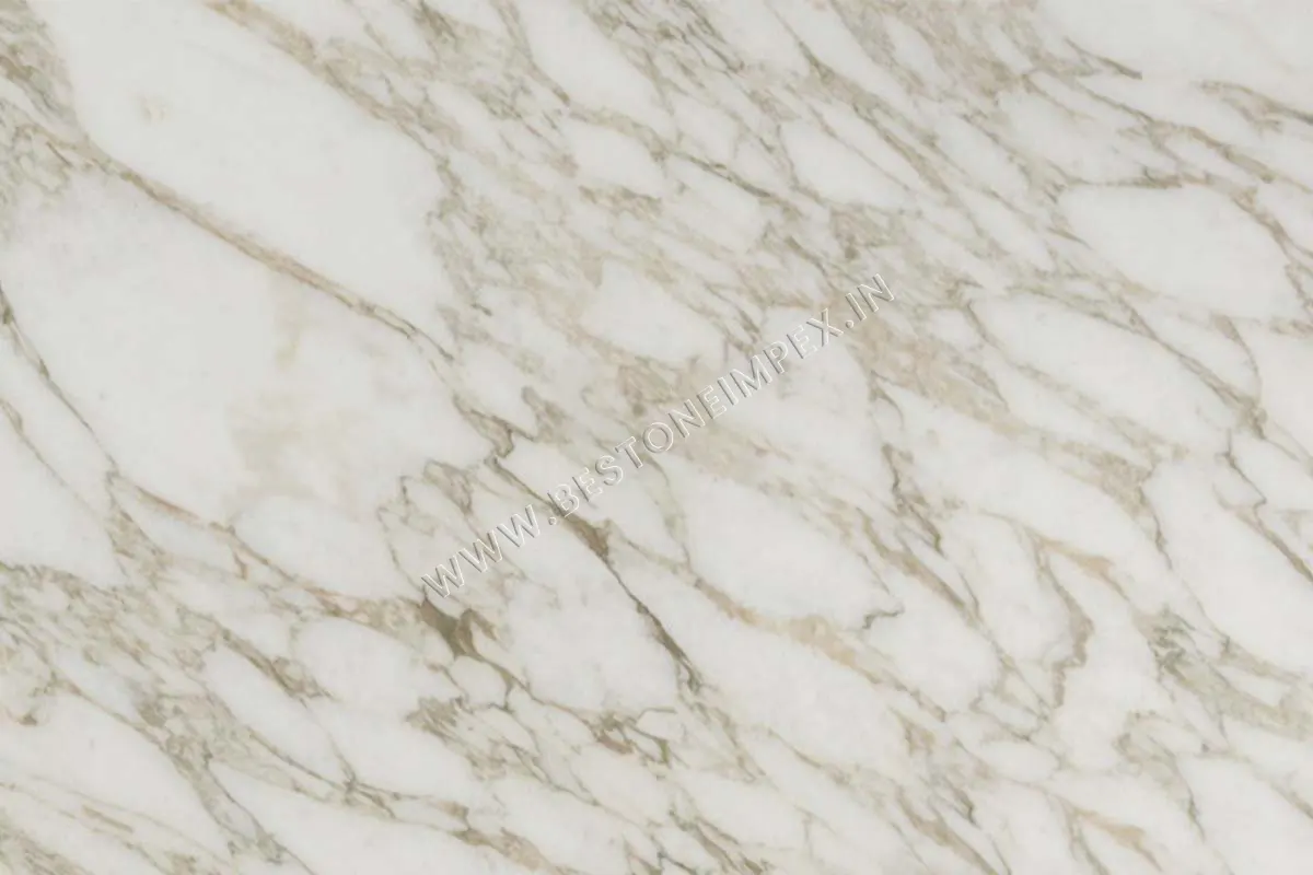 Calacatta Gold Marble