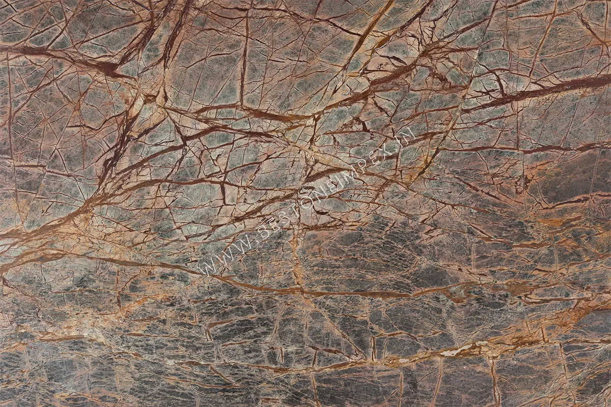 Rainforest Brown