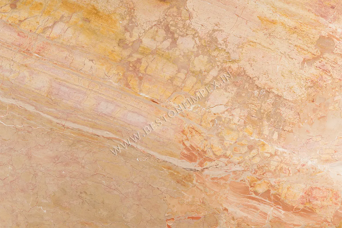 Spinal Beige