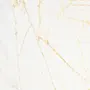 Golden Spider
