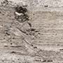 Silver Grey Travertine Cross Cut